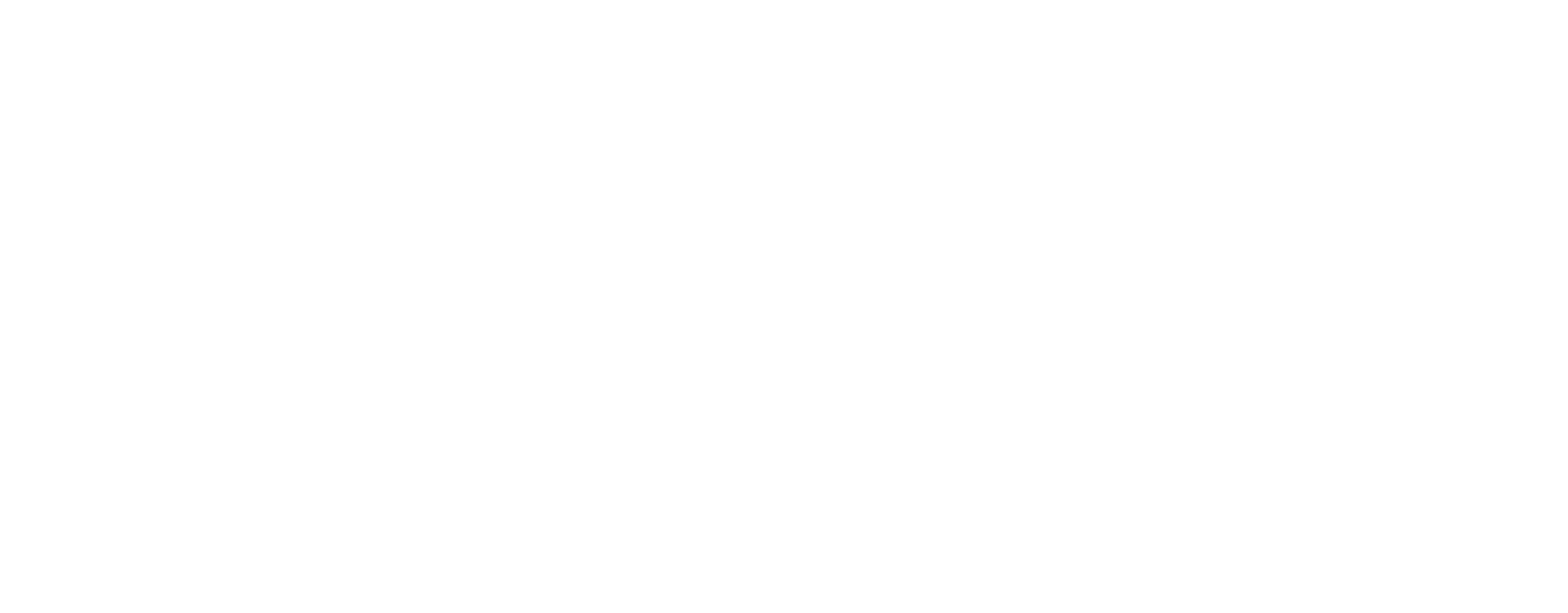 Sizzlerz Logo